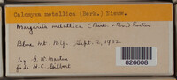 Image Associated With the Occurence